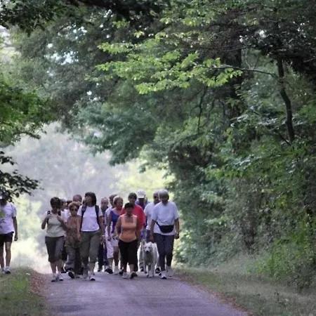 3 Etoiles - Piscine - Ccbb0if * Montpon-Menesterol